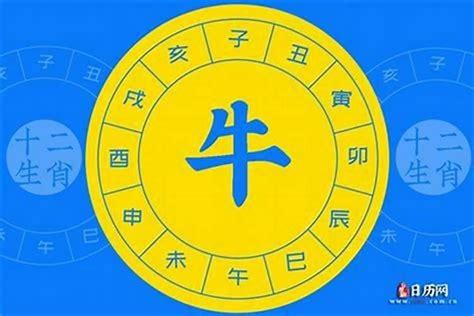 1984年五行属什么|1984年出生的属什么,1984年是什么生肖